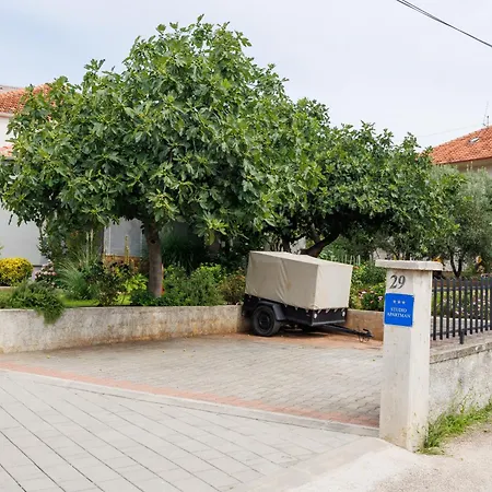 Summer Flower * زادار