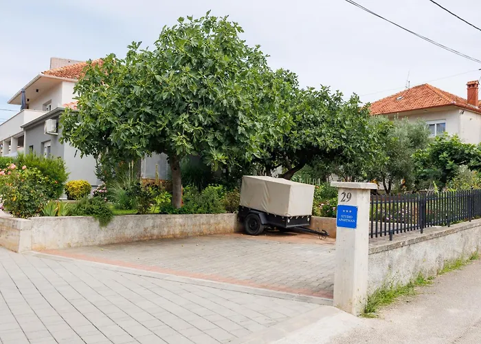 Summer Flower * زادار