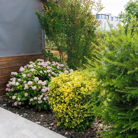Summer Flower Apartment *