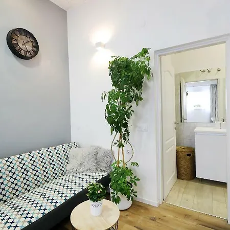Apartment Summer Flower